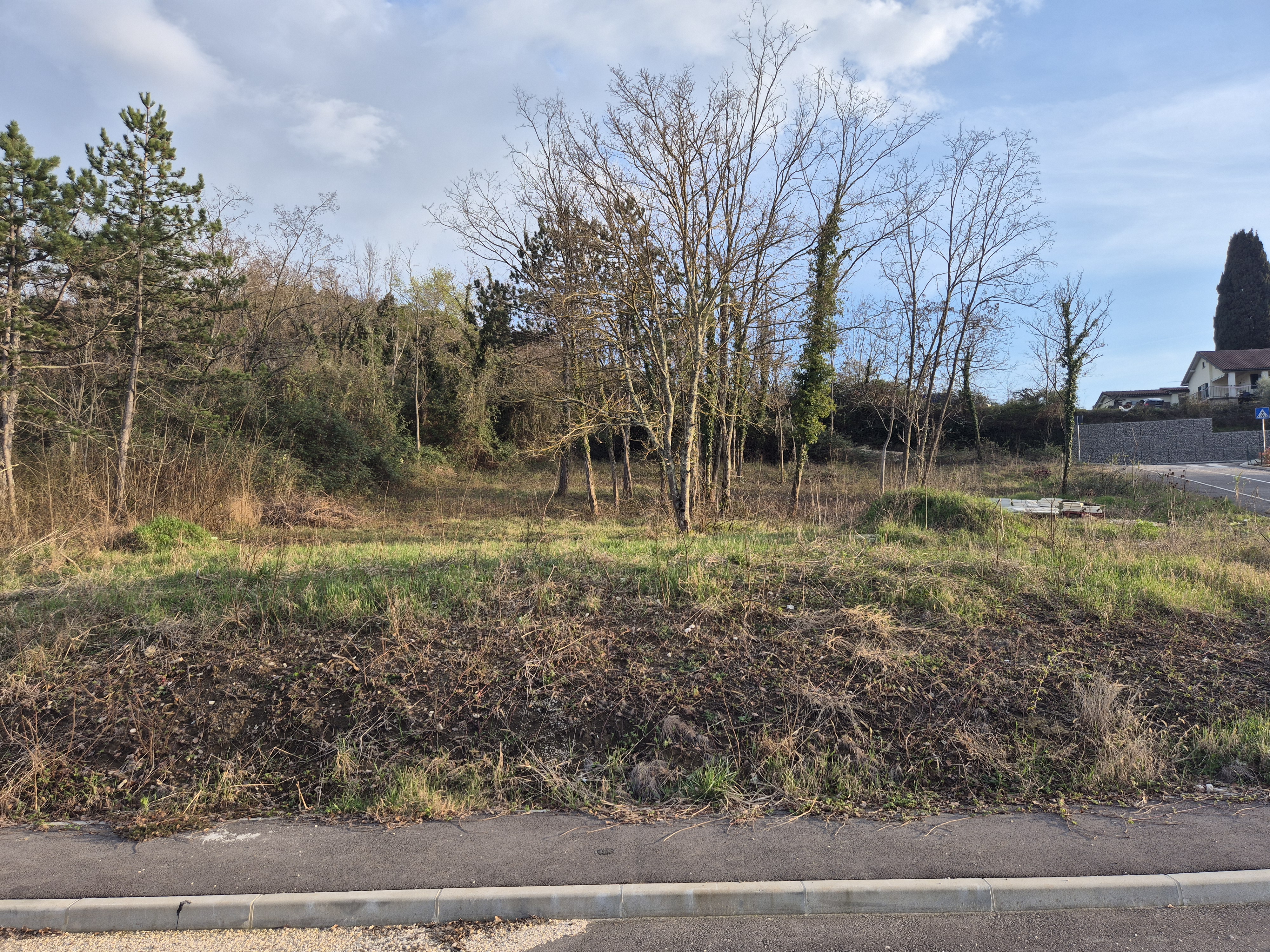 Plot Grand Cru — view 1